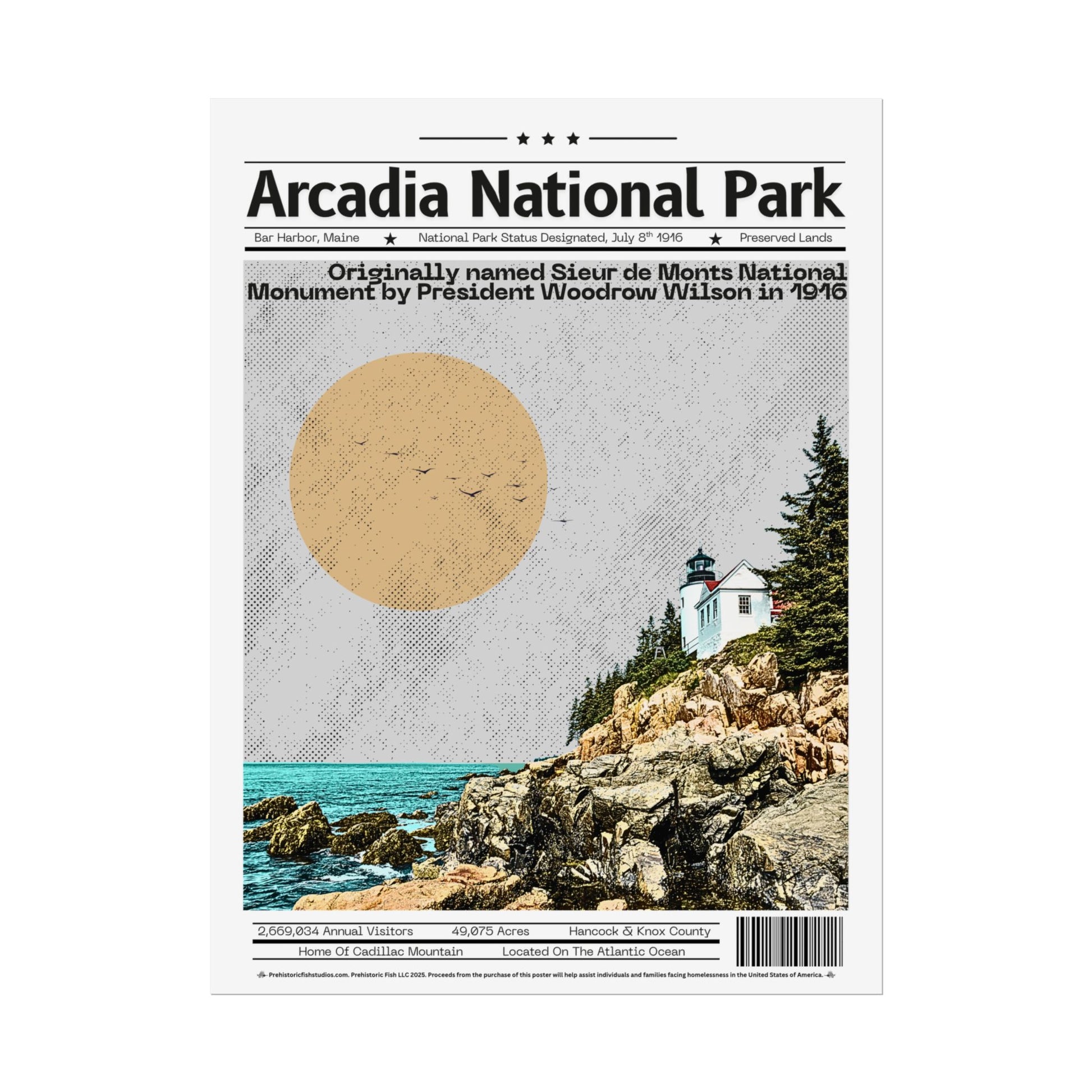 Arcadia National Park (2) - 18x24 Modern Wall Art Rolled Poster