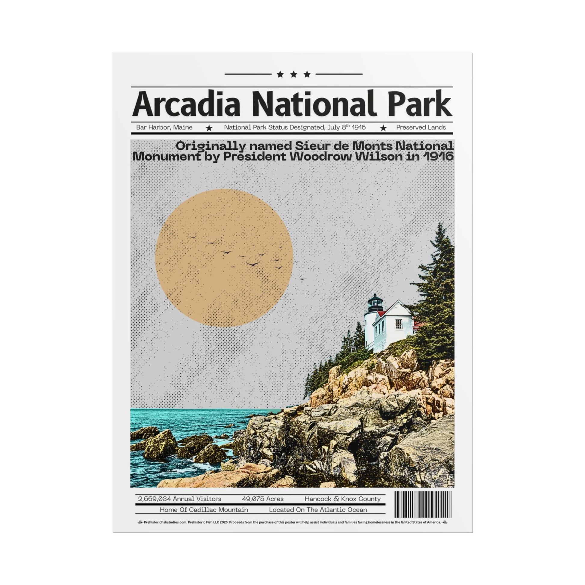 Arcadia National Park (2) - 18x24 Modern Wall Art Rolled Poster