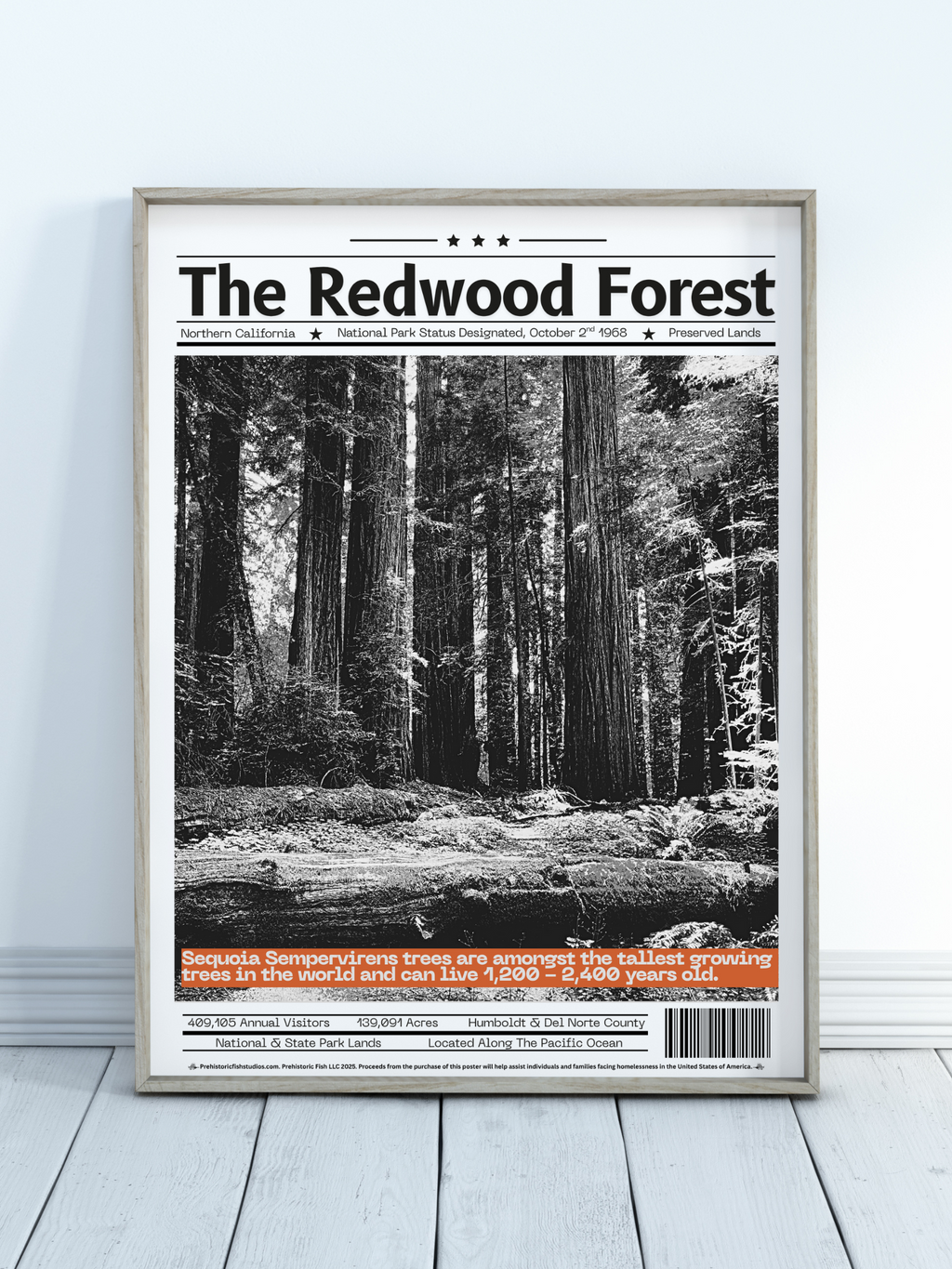 The Redwood Forest - 18x24 Modern Wall Art Rolled Poster