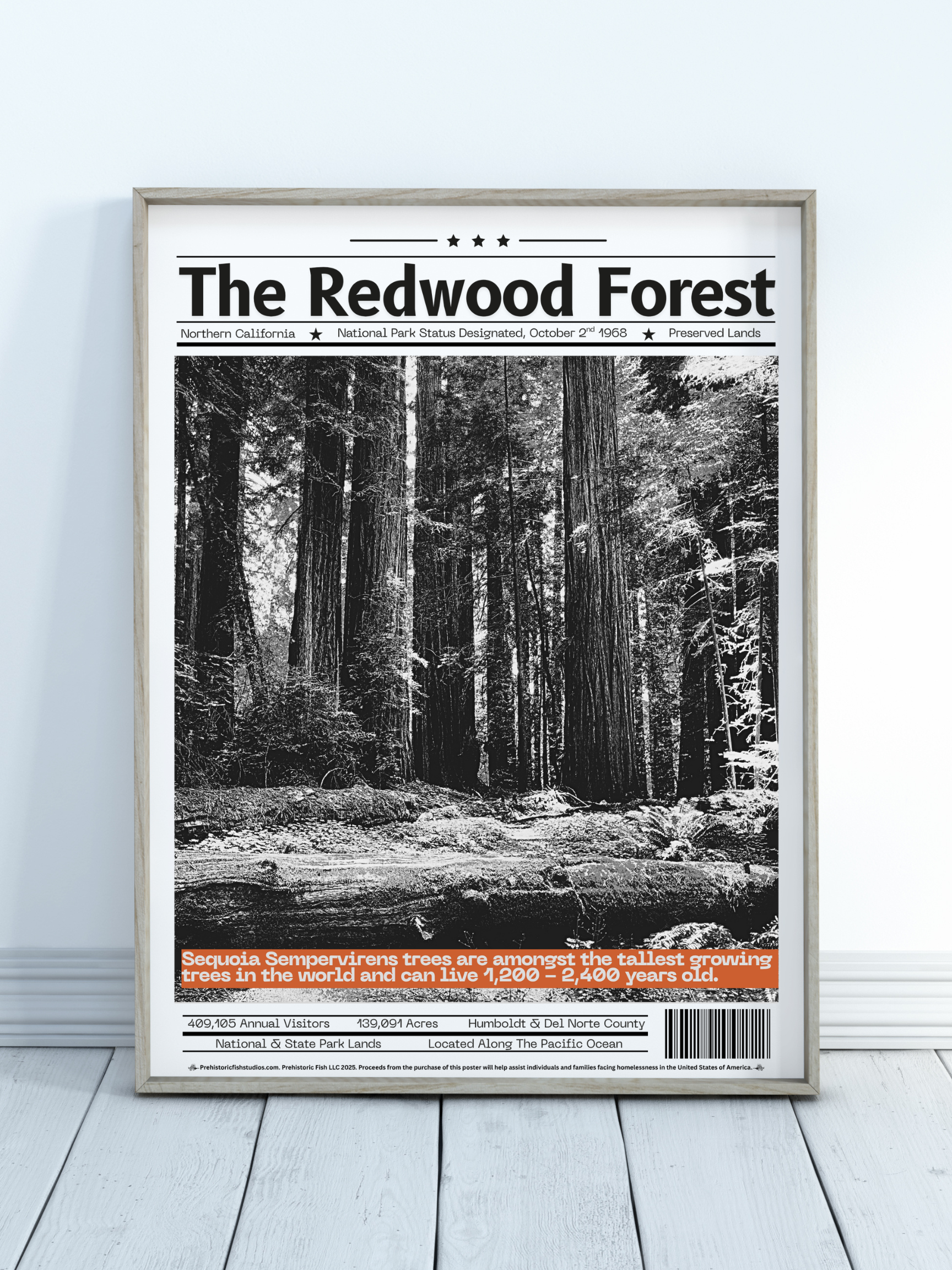 The Redwood Forest - 18x24 Modern Wall Art Rolled Poster