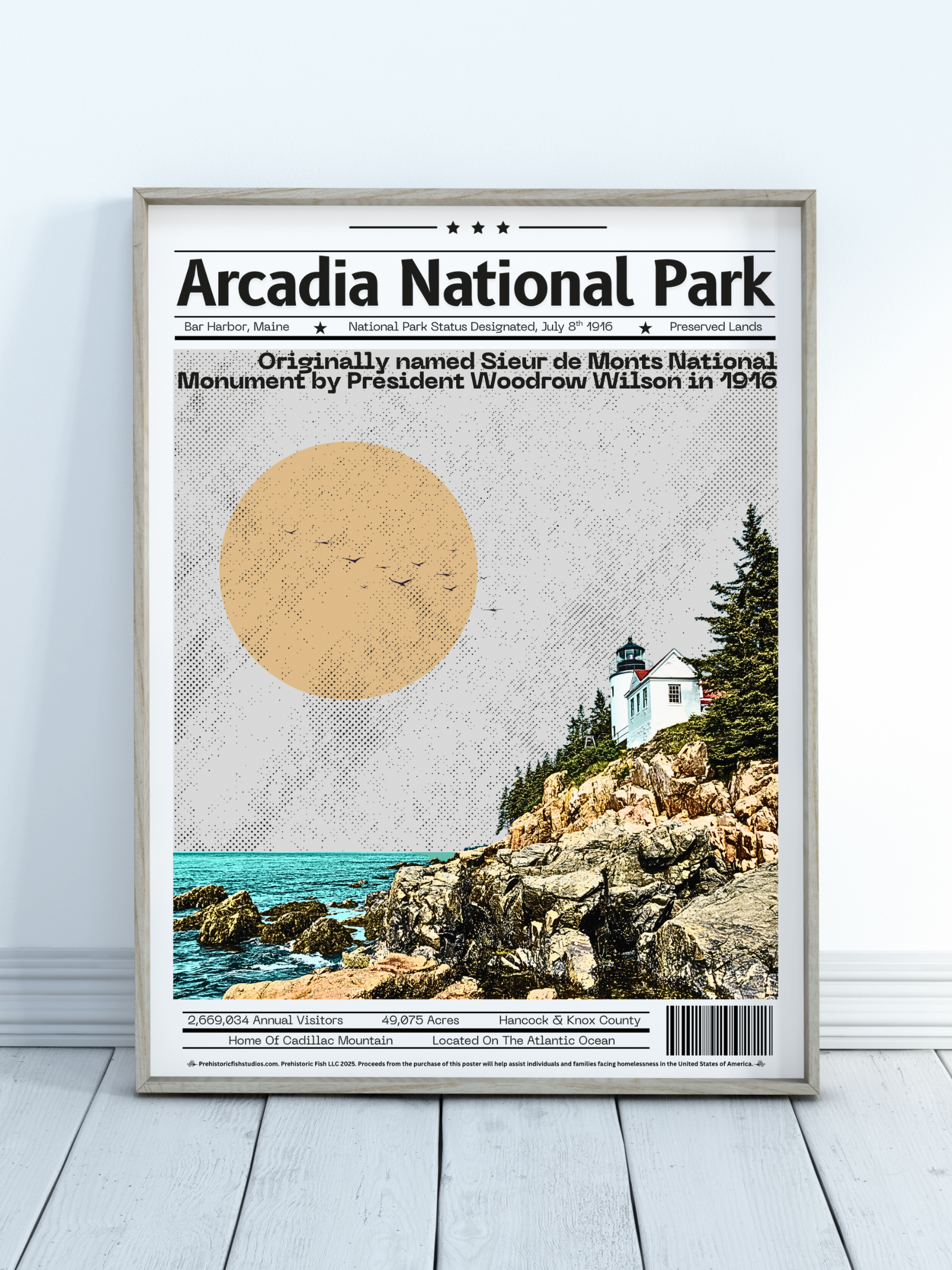 Arcadia National Park (2) - 18x24 Modern Wall Art Rolled Poster
